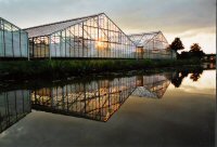 Gew&auml;chsh&auml;user auf dem Weg nach Neuengamme