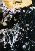Paddel im Wasser